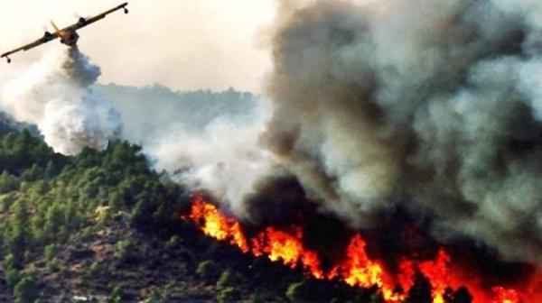 "الكنادير" تنجح في السيطرة على حريق غابوي ضواحي العرائش